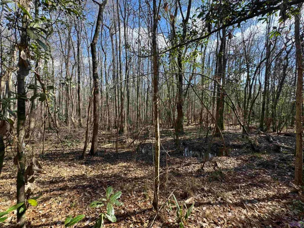 $450,000 | 0 La Highway, Boyce, LA 71409