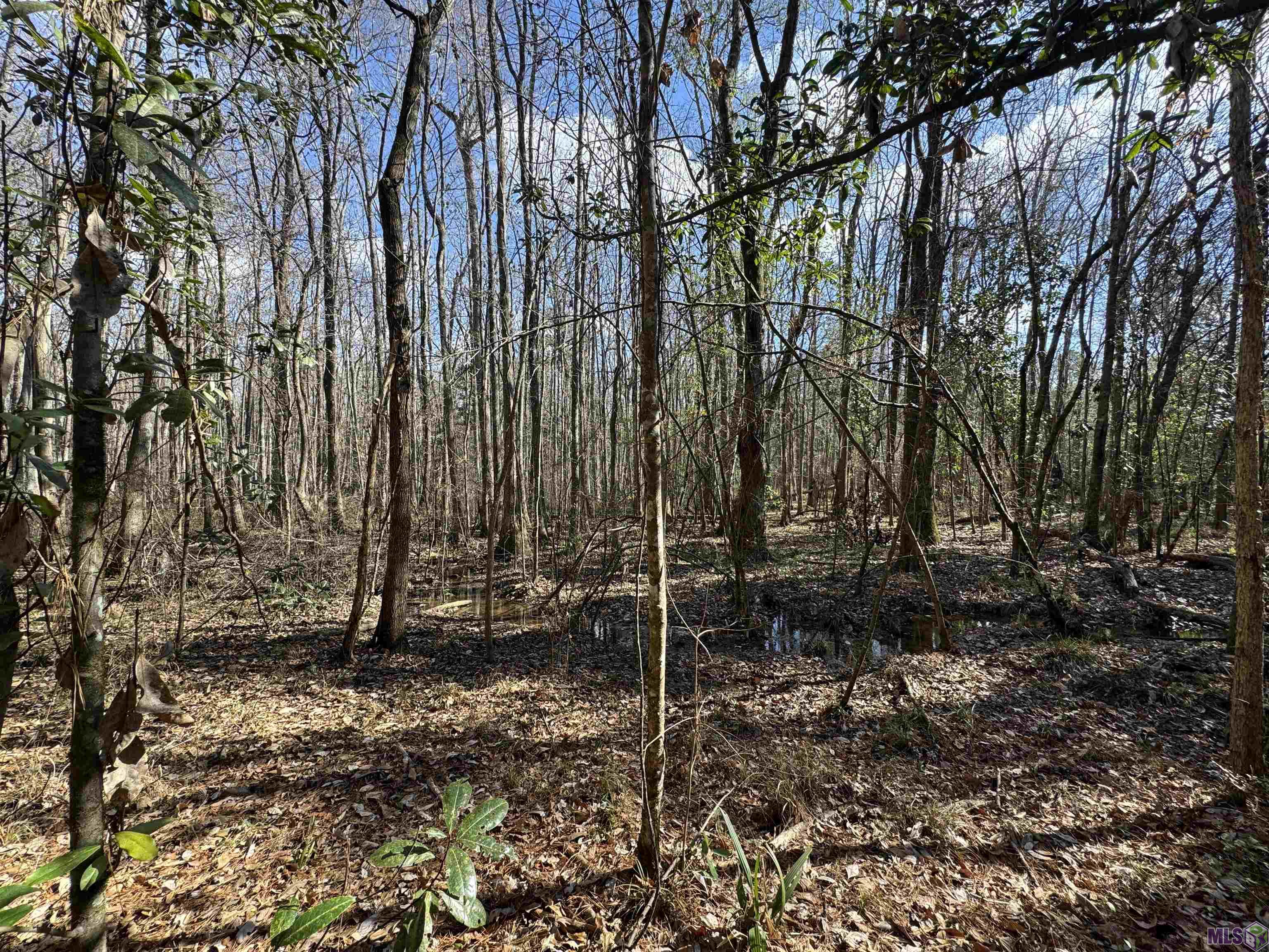 0 La Highway Boyce, LA 71409 - Photo 23 of 45
