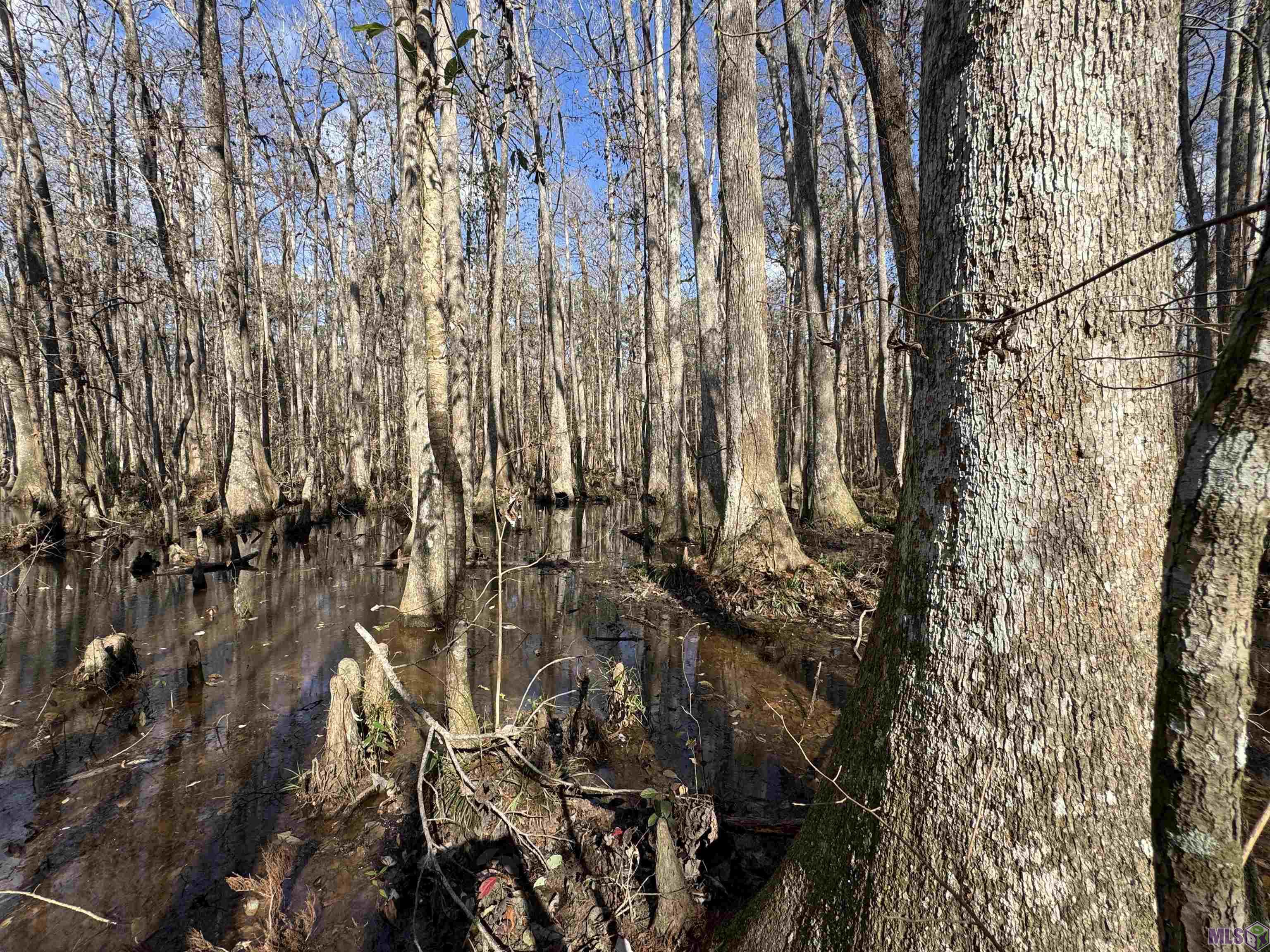 0 La Highway Boyce, LA 71409 - Photo 24 of 45