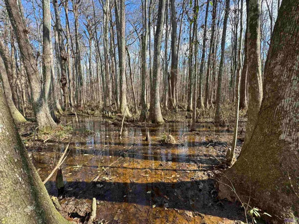 $450,000 | 0 La Highway, Boyce, LA 71409