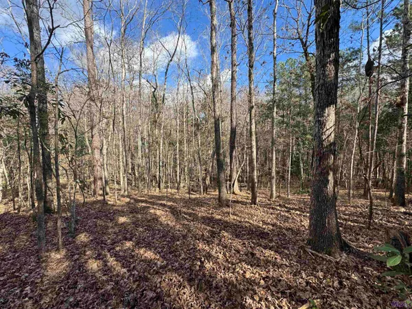 $450,000 | 0 La Highway, Boyce, LA 71409