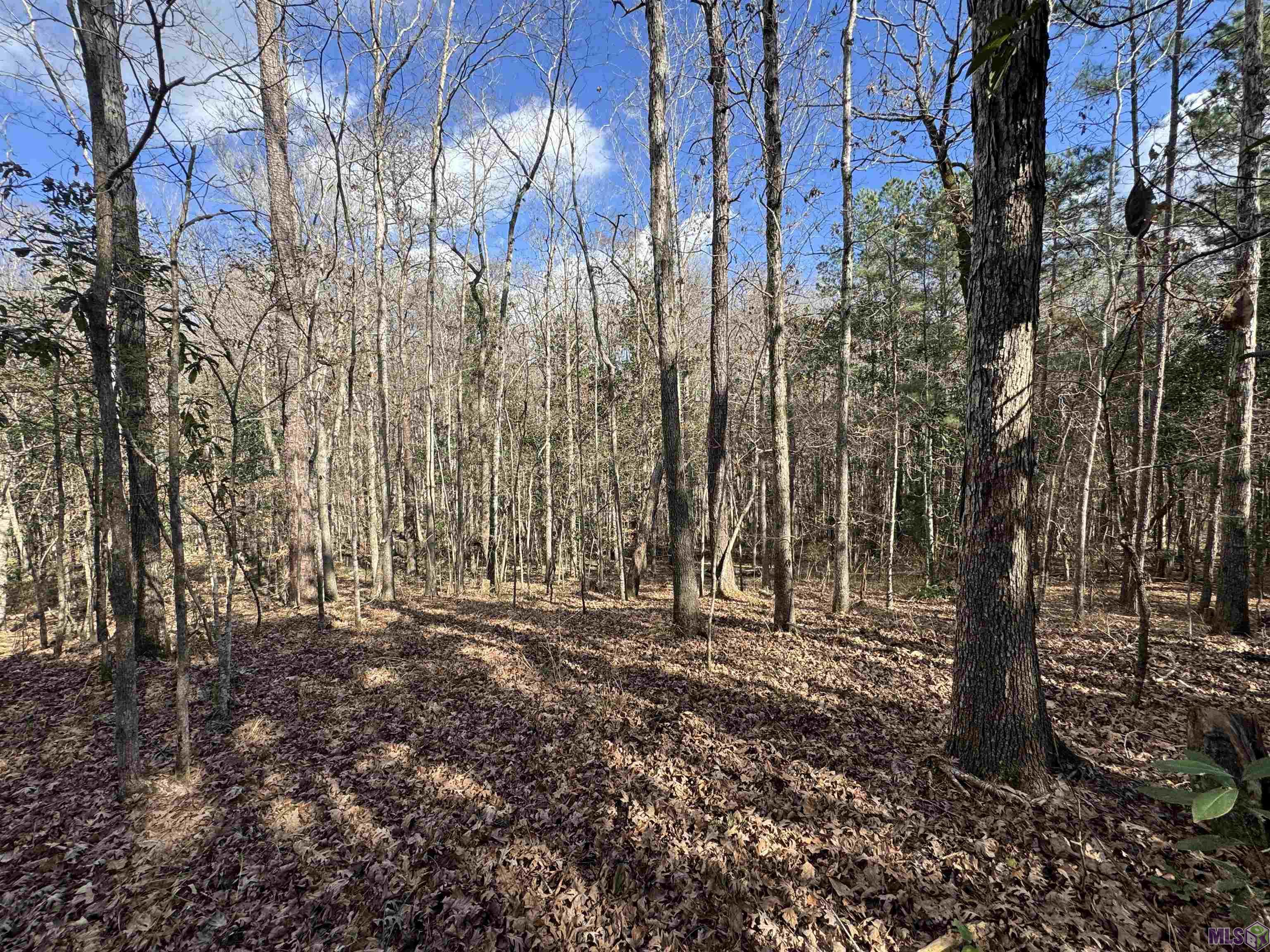 0 La Highway Boyce, LA 71409 - Photo 26 of 45