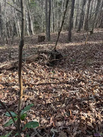 $450,000 | 0 La Highway, Boyce, LA 71409