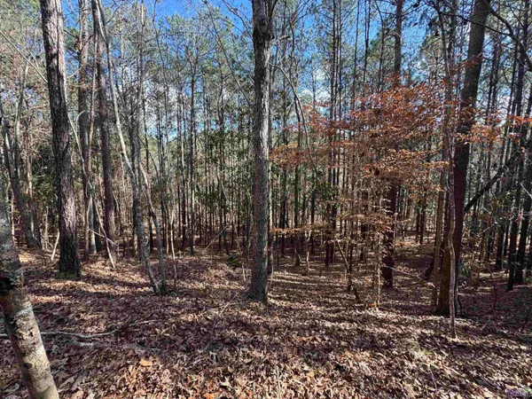 $450,000 | 0 La Highway, Boyce, LA 71409