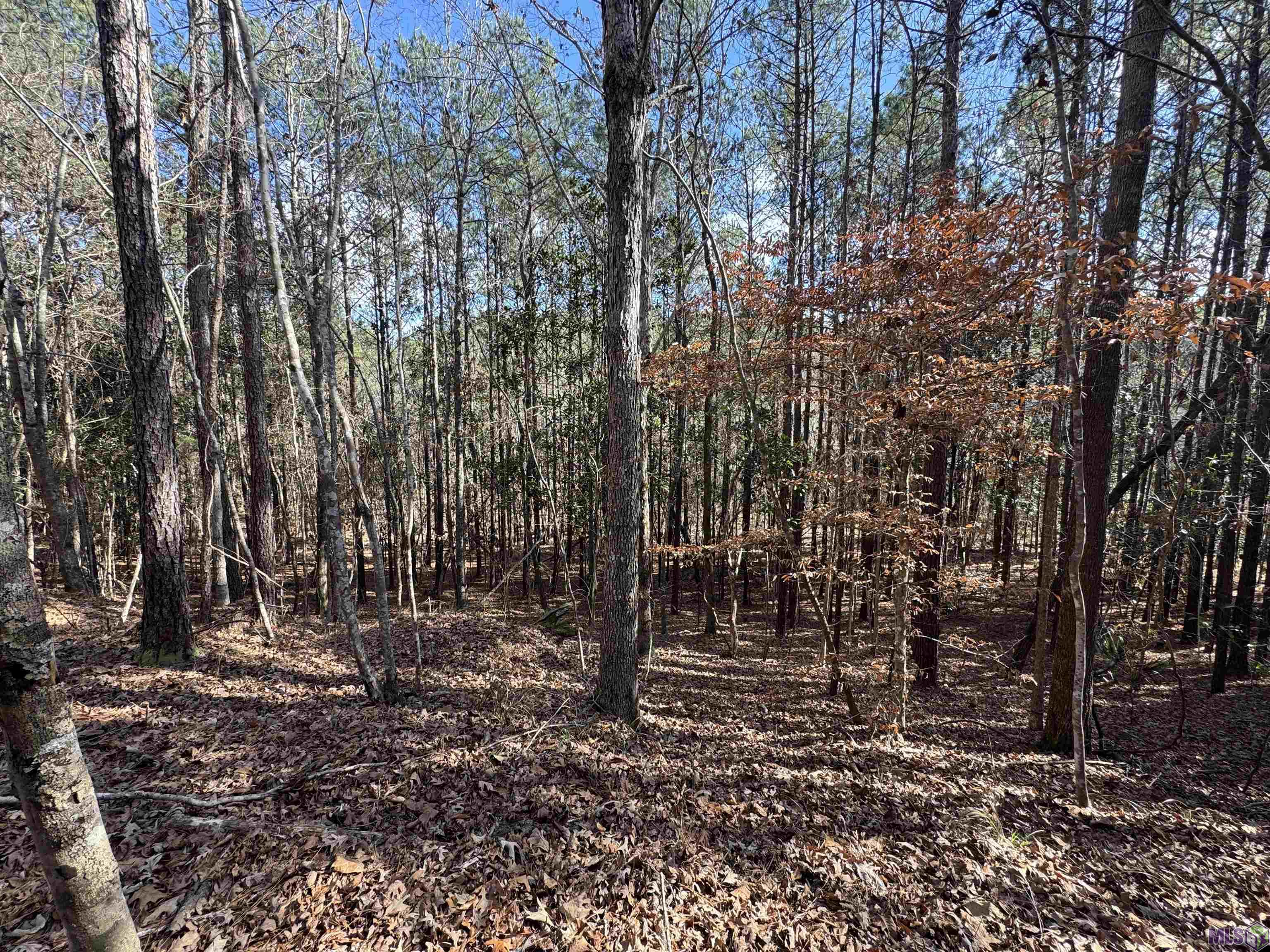 0 La Highway Boyce, LA 71409 - Photo 29 of 45