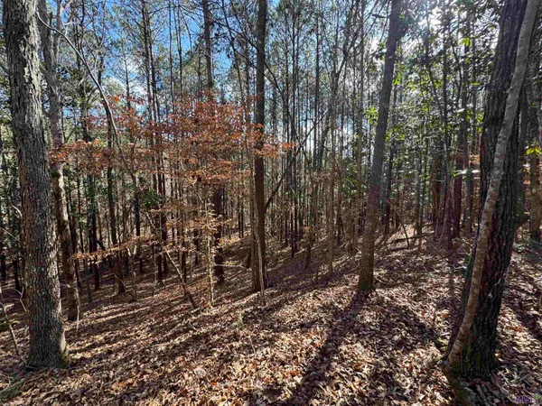$450,000 | 0 La Highway, Boyce, LA 71409