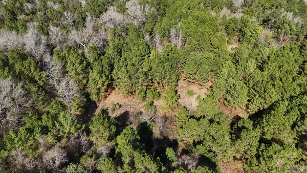 $450,000 | 0 La Highway, Boyce, LA 71409
