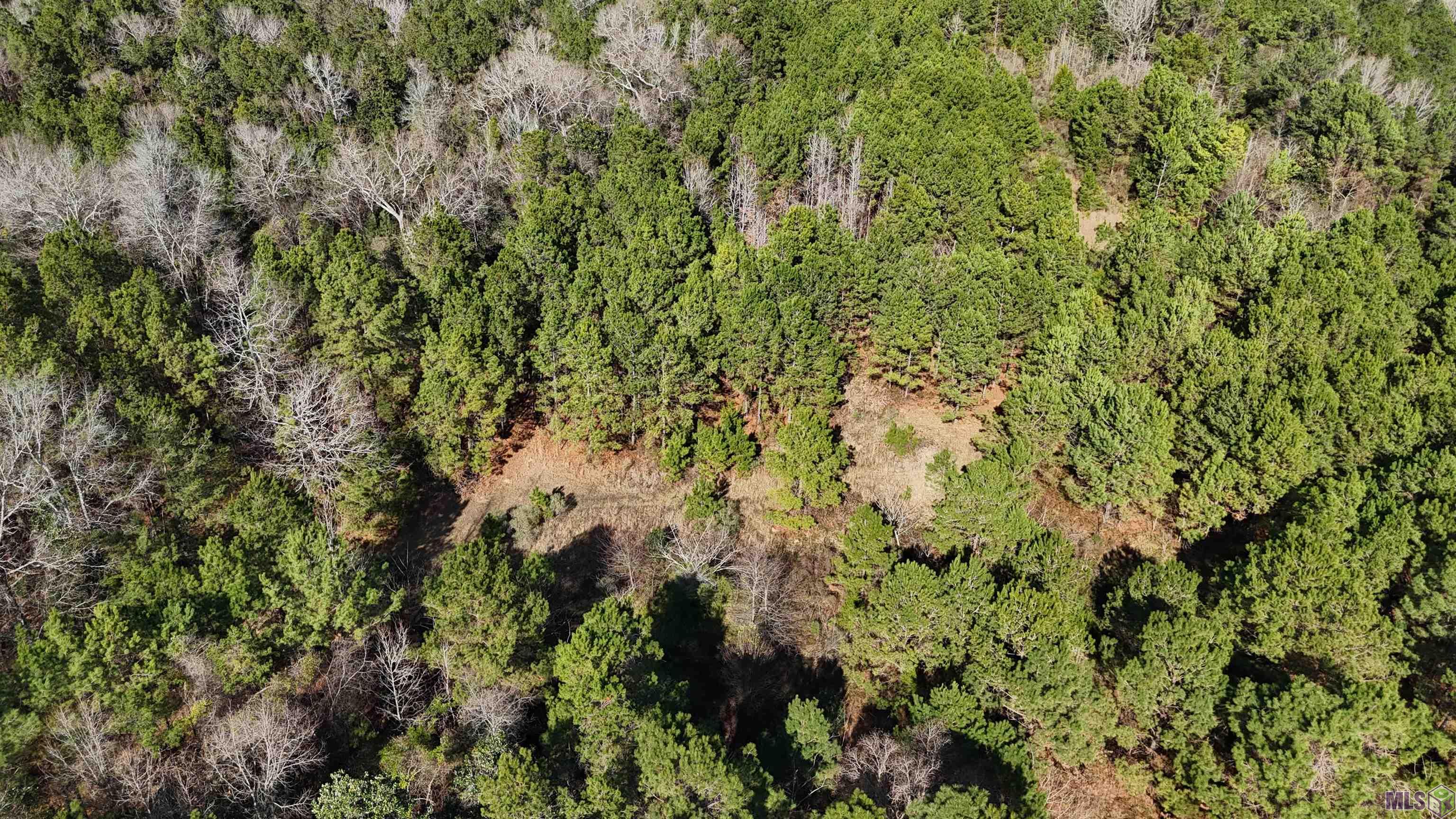 0 La Highway Boyce, LA 71409 - Photo 3 of 45