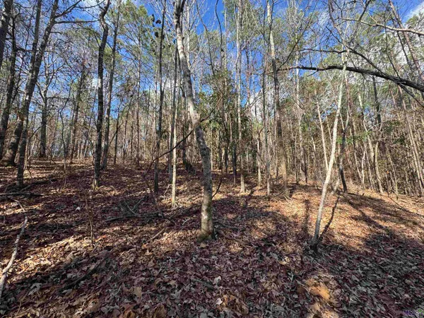 $450,000 | 0 La Highway, Boyce, LA 71409