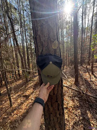 $450,000 | 0 La Highway, Boyce, LA 71409