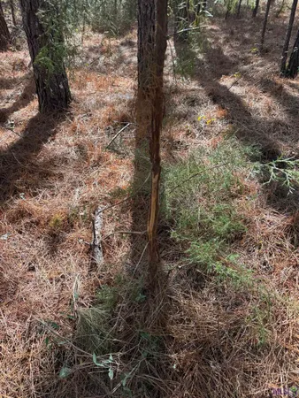 $450,000 | 0 La Highway, Boyce, LA 71409