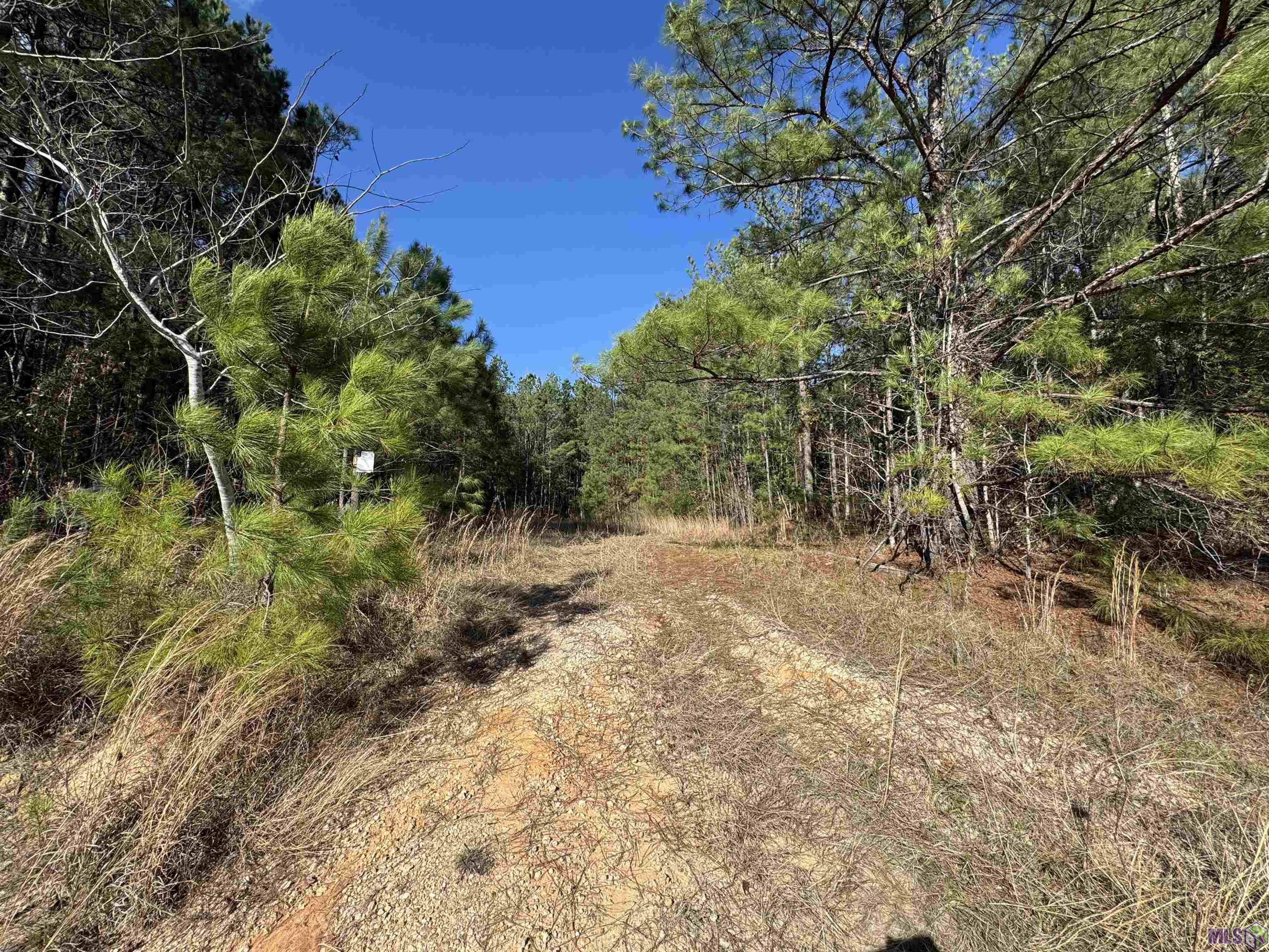 0 La Highway Boyce, LA 71409 - Photo 34 of 45