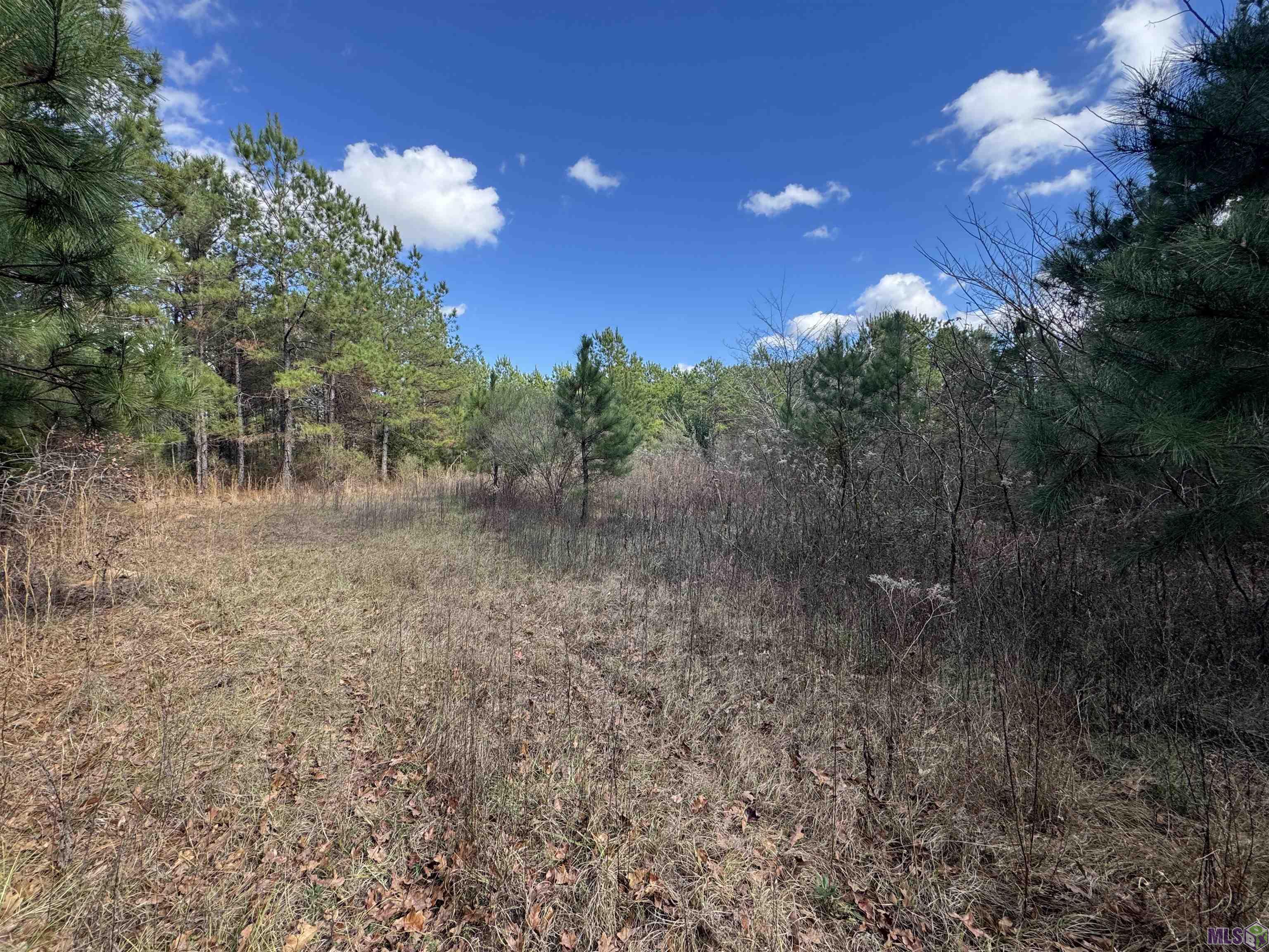 0 La Highway Boyce, LA 71409 - Photo 35 of 45