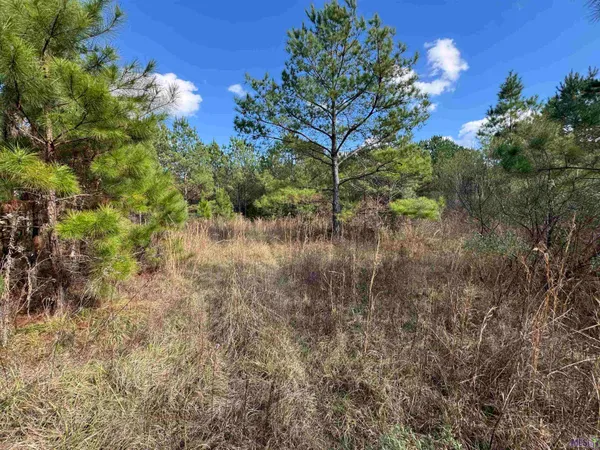 $450,000 | 0 La Highway, Boyce, LA 71409