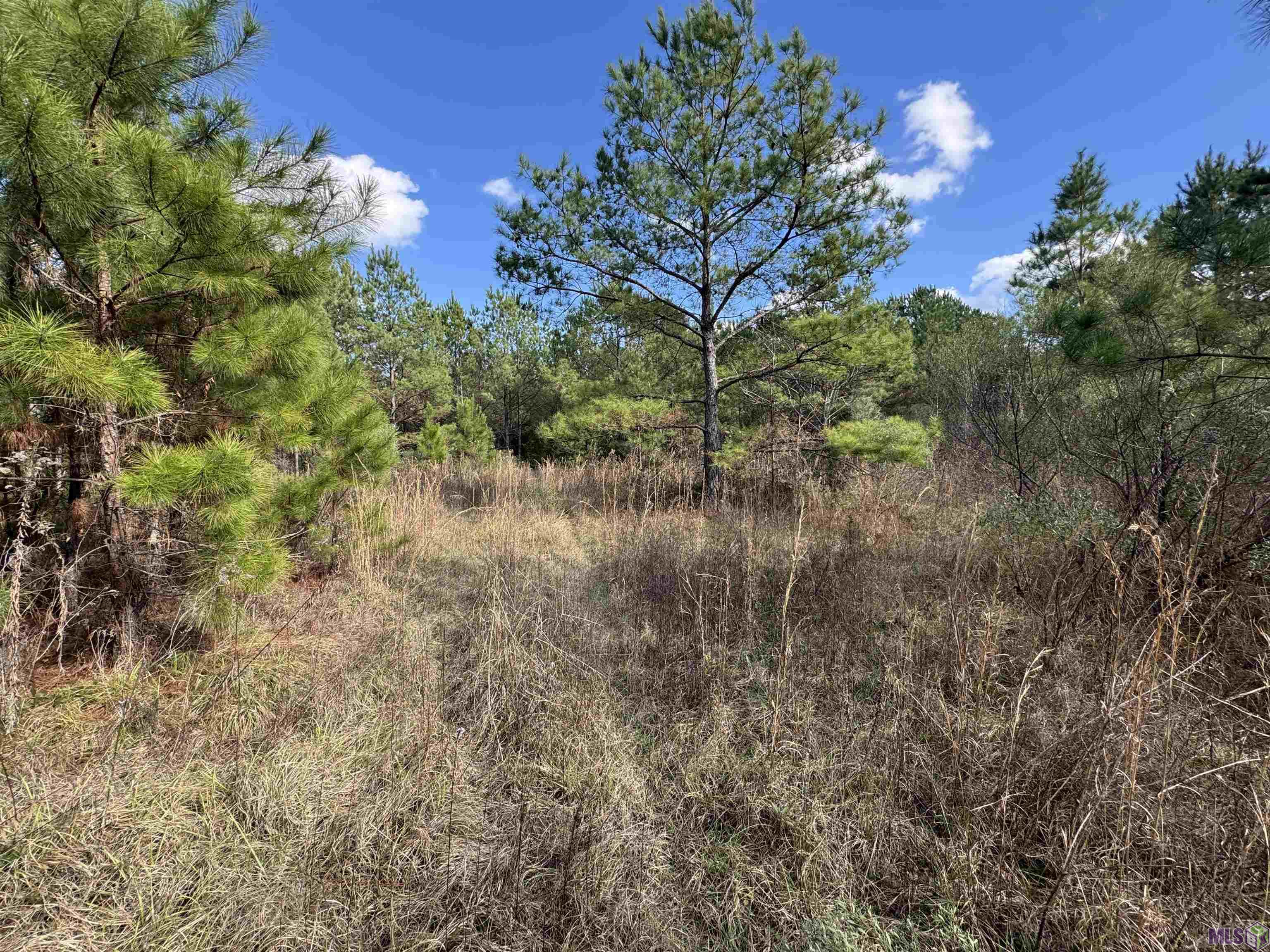 0 La Highway Boyce, LA 71409 - Photo 36 of 45