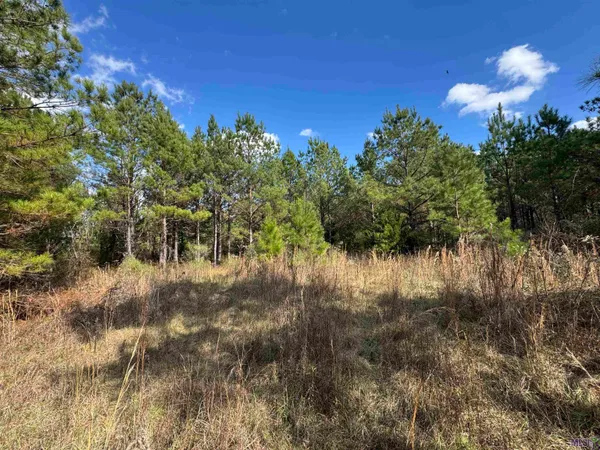$450,000 | 0 La Highway, Boyce, LA 71409