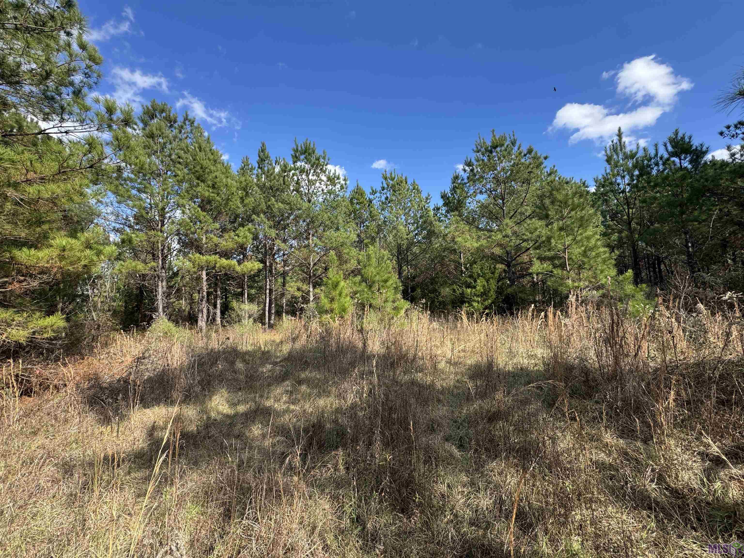 0 La Highway Boyce, LA 71409 - Photo 37 of 45