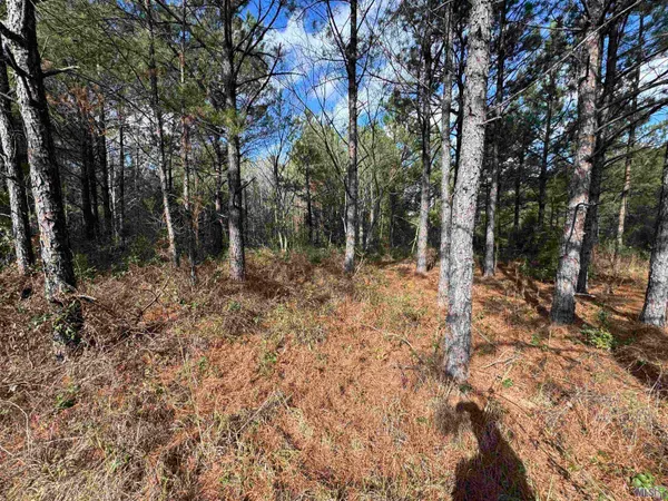 $450,000 | 0 La Highway, Boyce, LA 71409