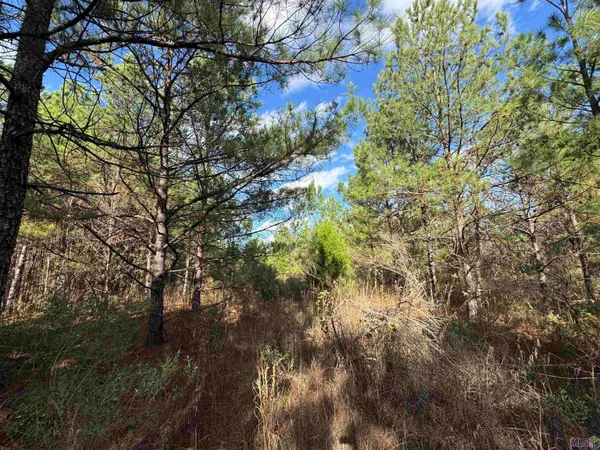 $450,000 | 0 La Highway, Boyce, LA 71409