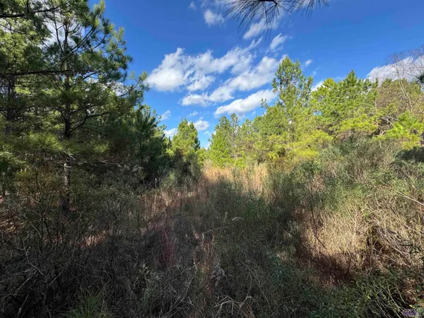 $450,000 | 0 La Highway, Boyce, LA 71409