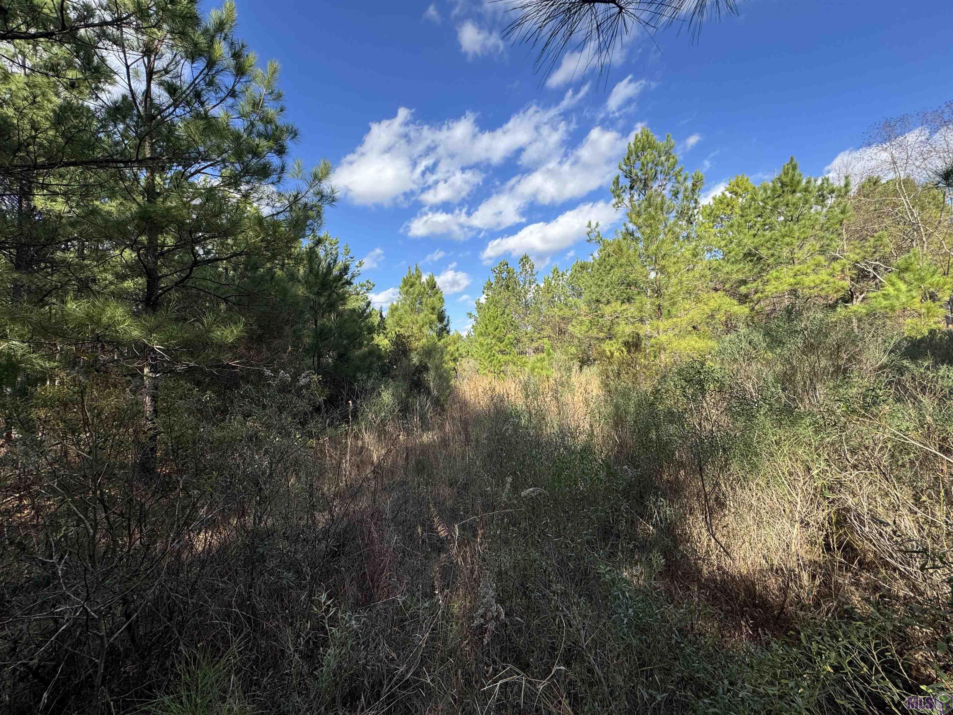 0 La Highway Boyce, LA 71409 - Photo 40 of 45