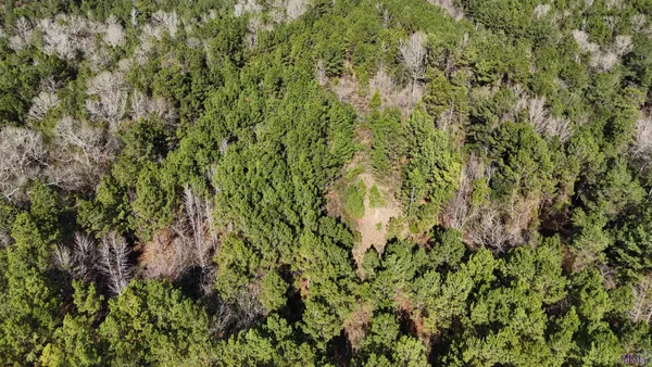 $450,000 | 0 La Highway, Boyce, LA 71409