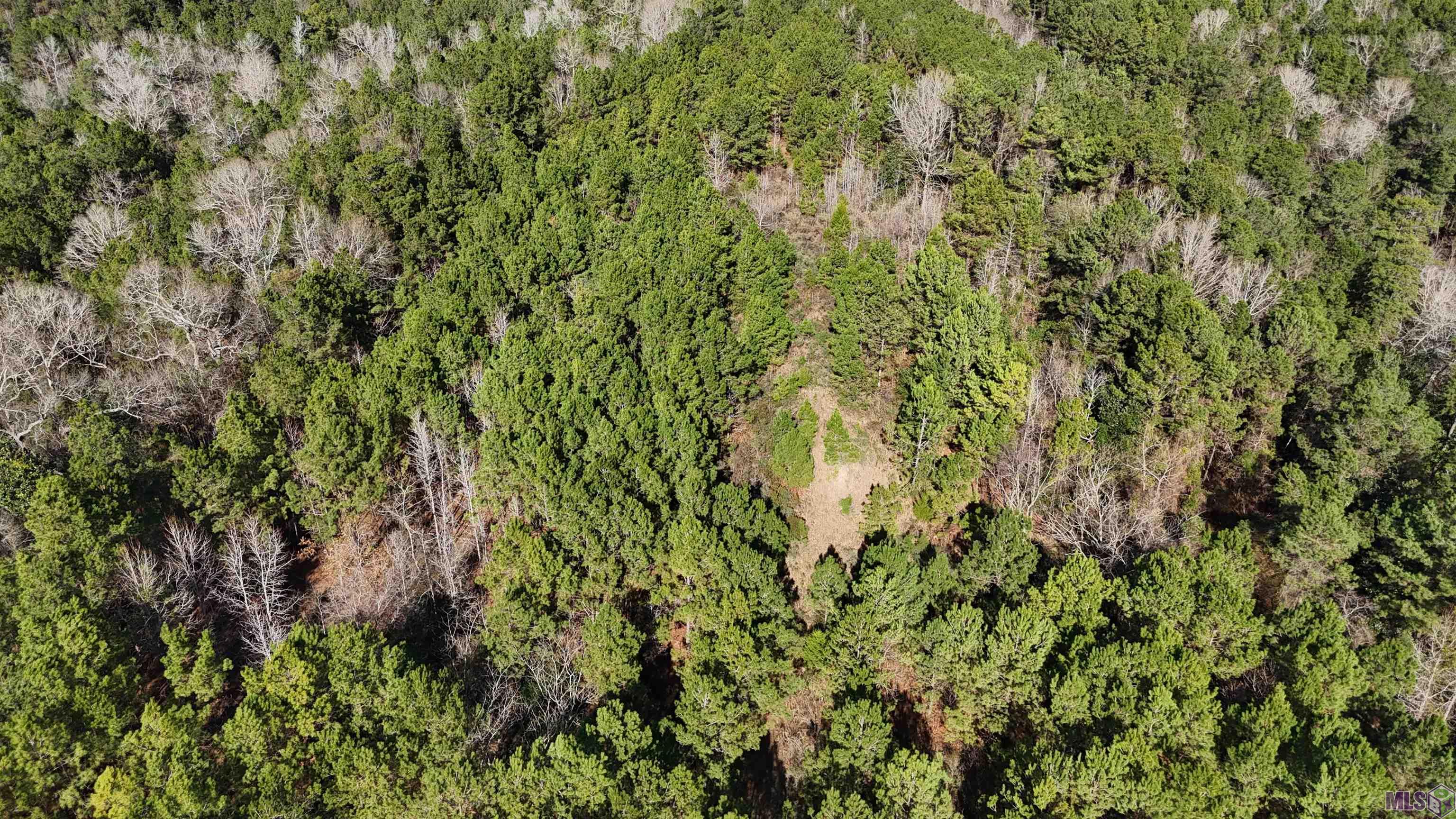 0 La Highway Boyce, LA 71409 - Photo 4 of 45