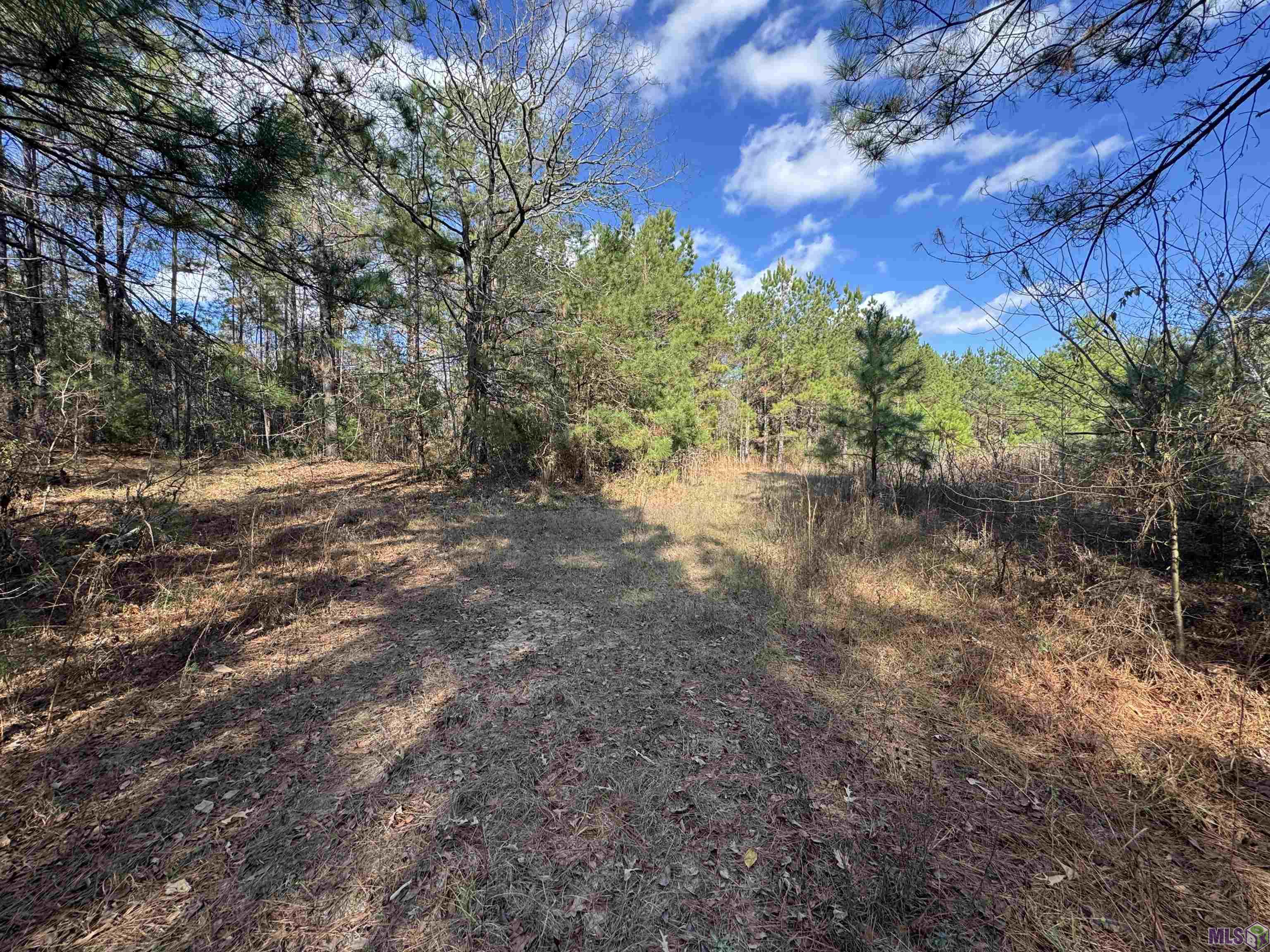 0 La Highway Boyce, LA 71409 - Photo 41 of 45