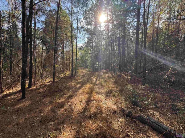 $450,000 | 0 La Highway, Boyce, LA 71409
