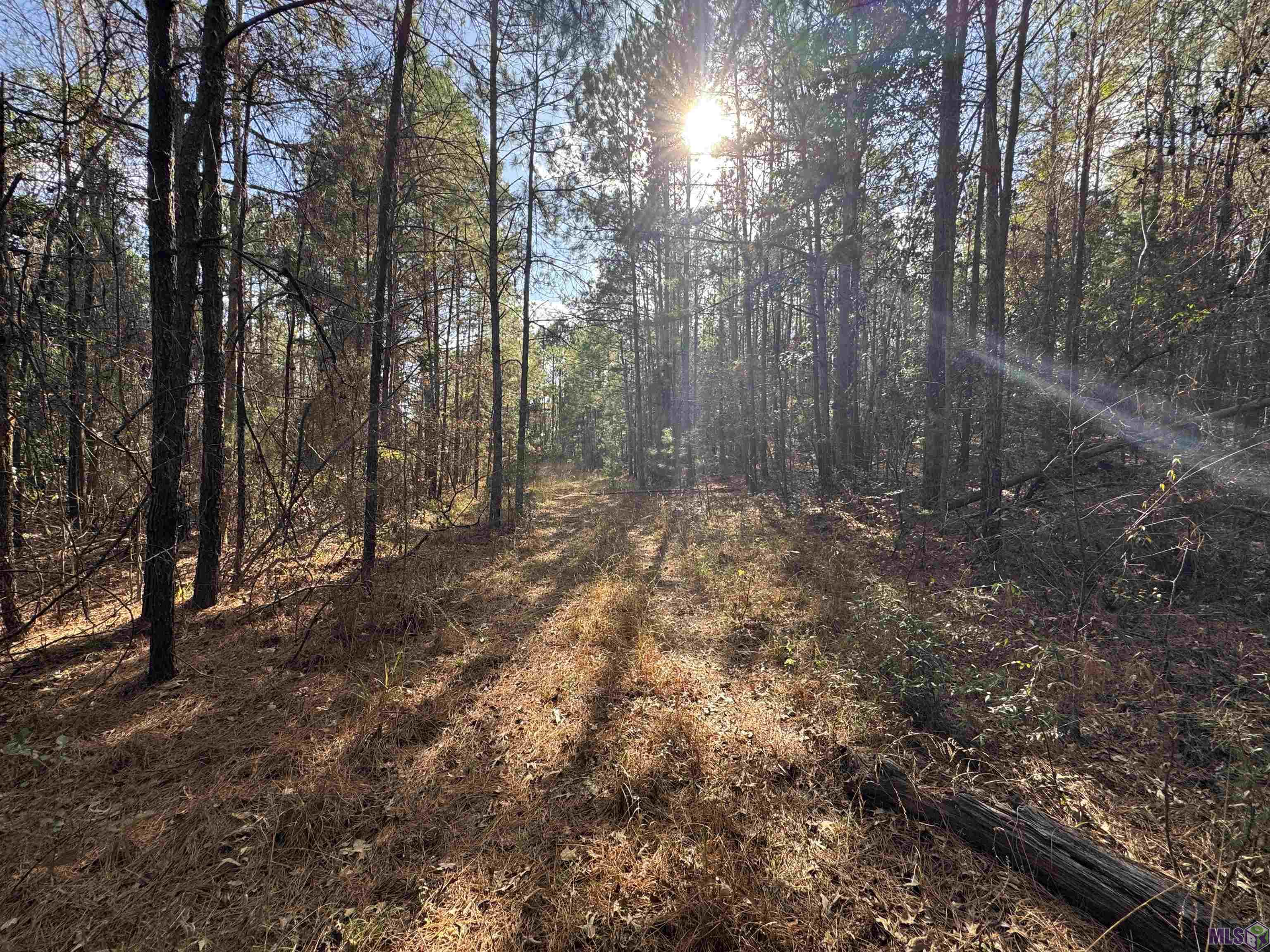0 La Highway Boyce, LA 71409 - Photo 42 of 45