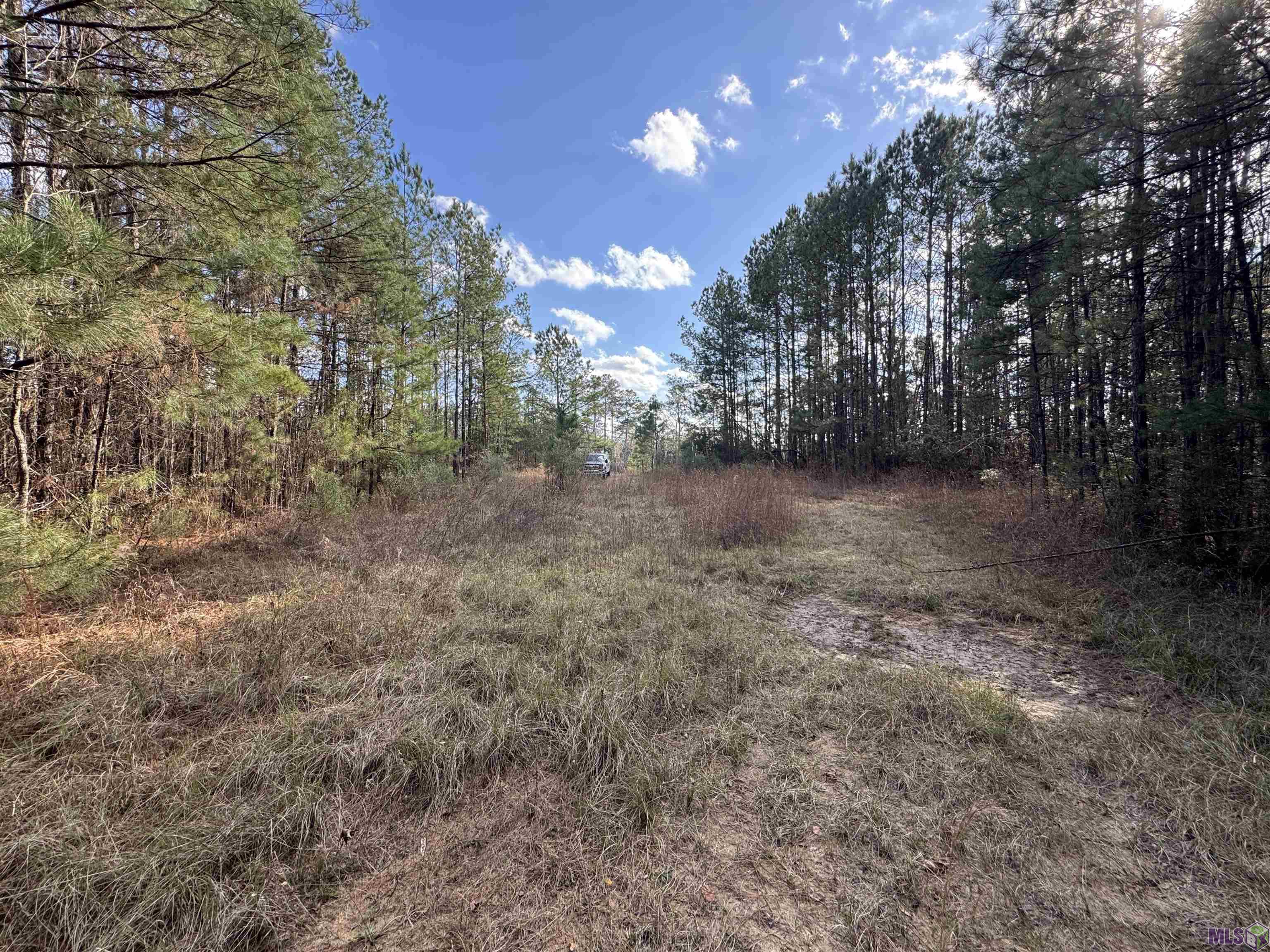 0 La Highway Boyce, LA 71409 - Photo 43 of 45