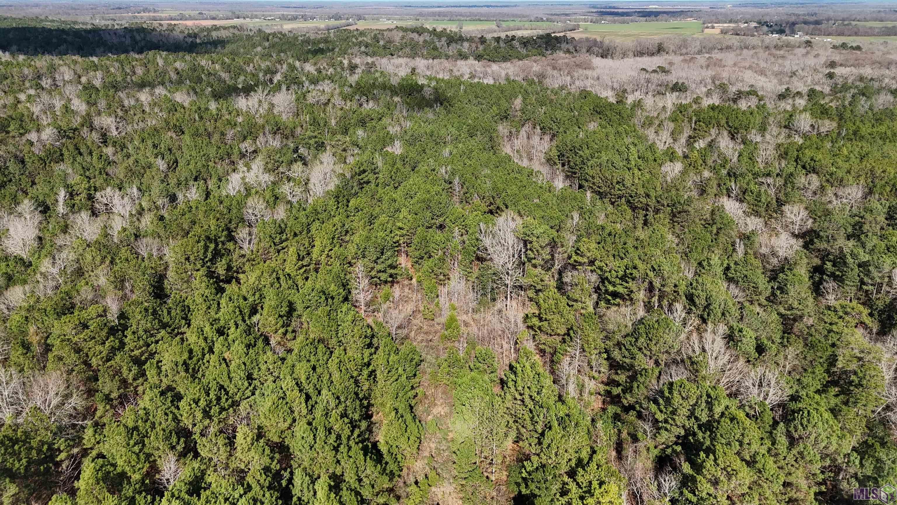 0 La Highway Boyce, LA 71409 - Photo 5 of 45