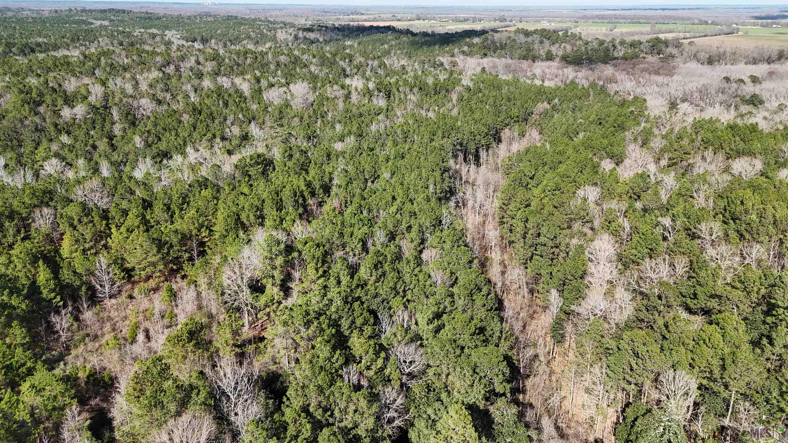 0 La Highway Boyce, LA 71409 - Photo 6 of 45
