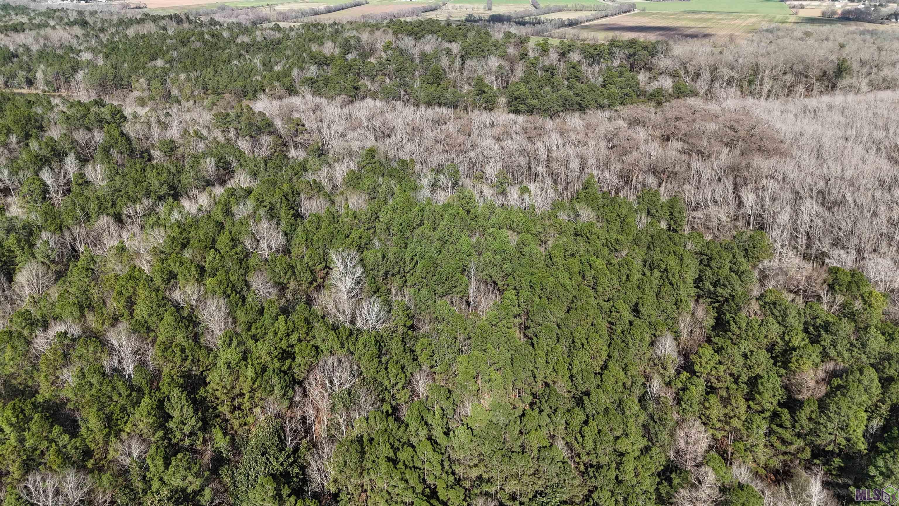 0 La Highway Boyce, LA 71409 - Photo 8 of 45