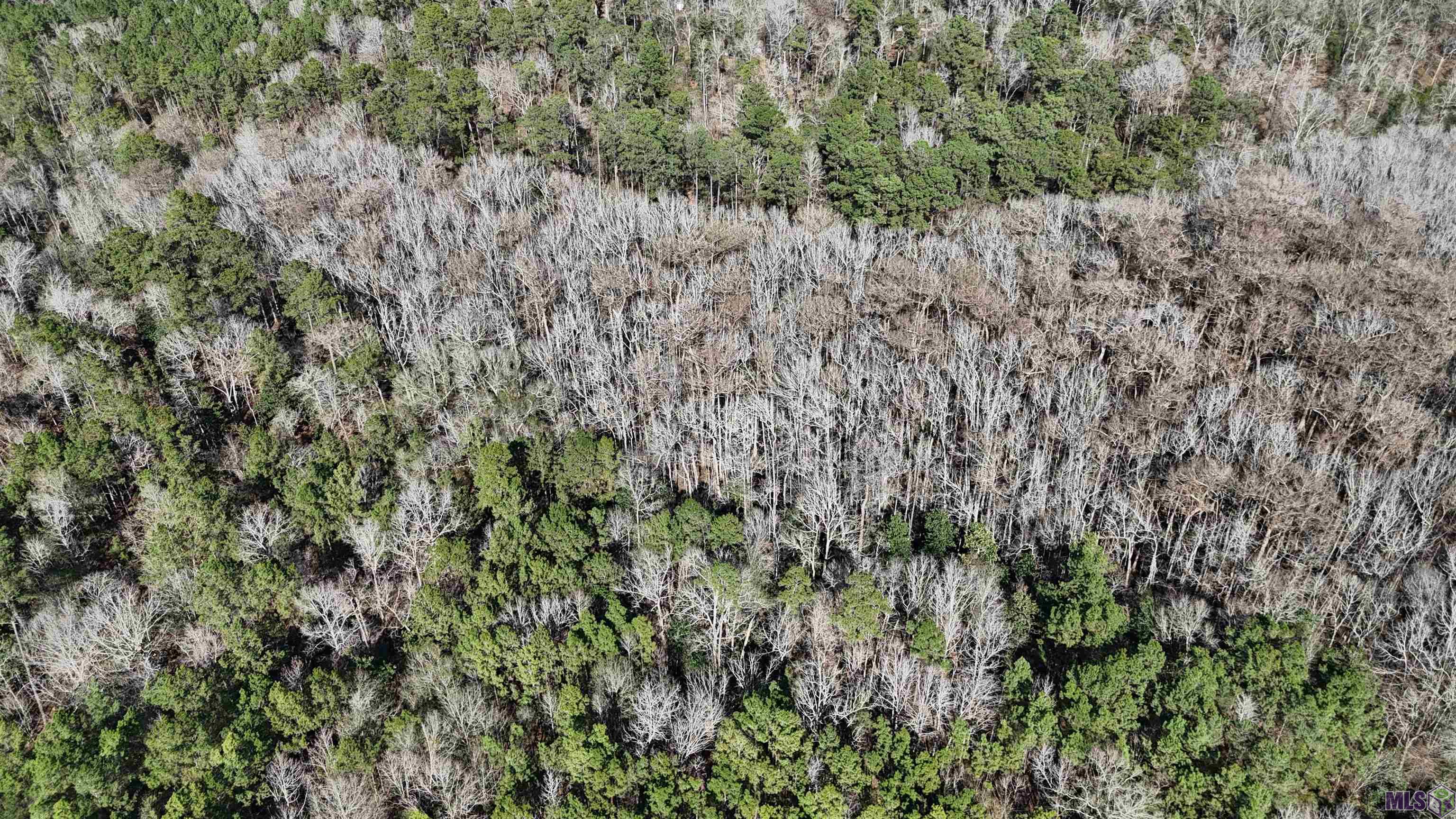 0 La Highway Boyce, LA 71409 - Photo 9 of 45