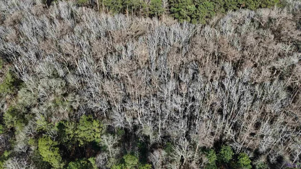 $450,000 | 0 La Highway, Boyce, LA 71409