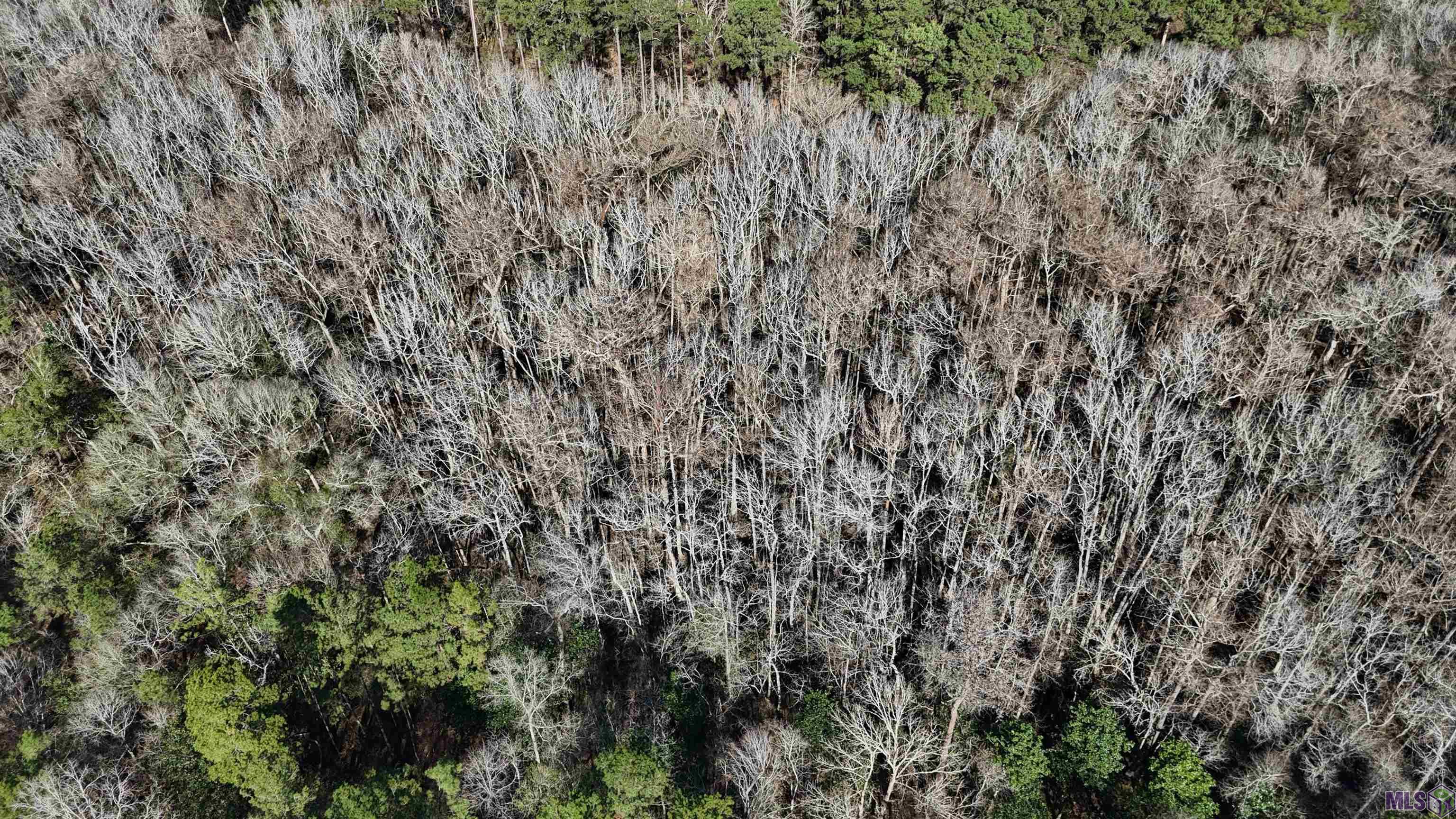 0 La Highway Boyce, LA 71409 - Photo 10 of 45