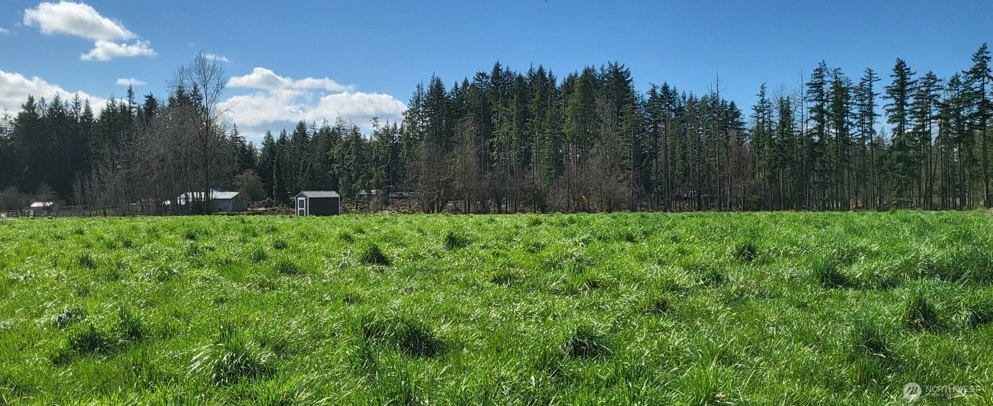 444 Meier Road Winlock, WA 98596 - Photo 11 of 15