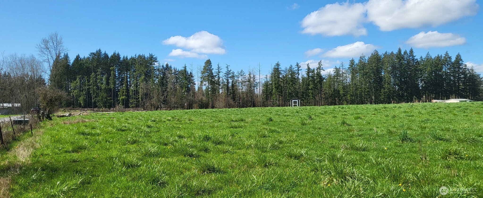 444 Meier Road Winlock, WA 98596 - Photo 12 of 15