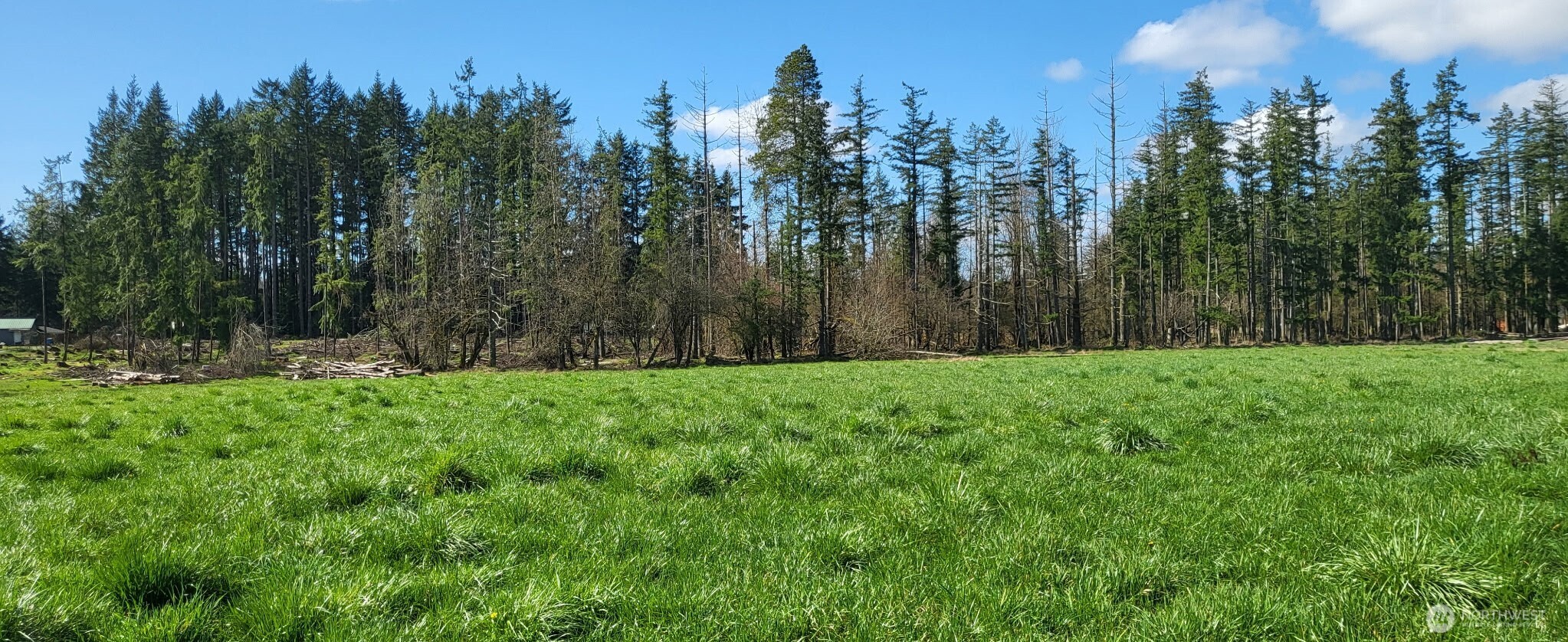 444 Meier Road Winlock, WA 98596 - Photo 14 of 15