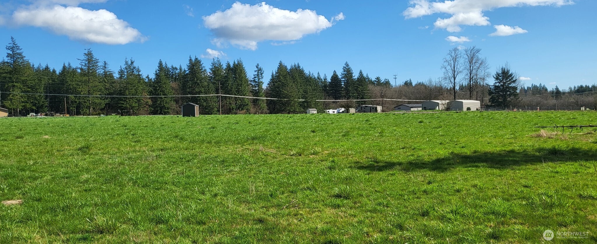 444 Meier Road Winlock, WA 98596 - Photo 7 of 15