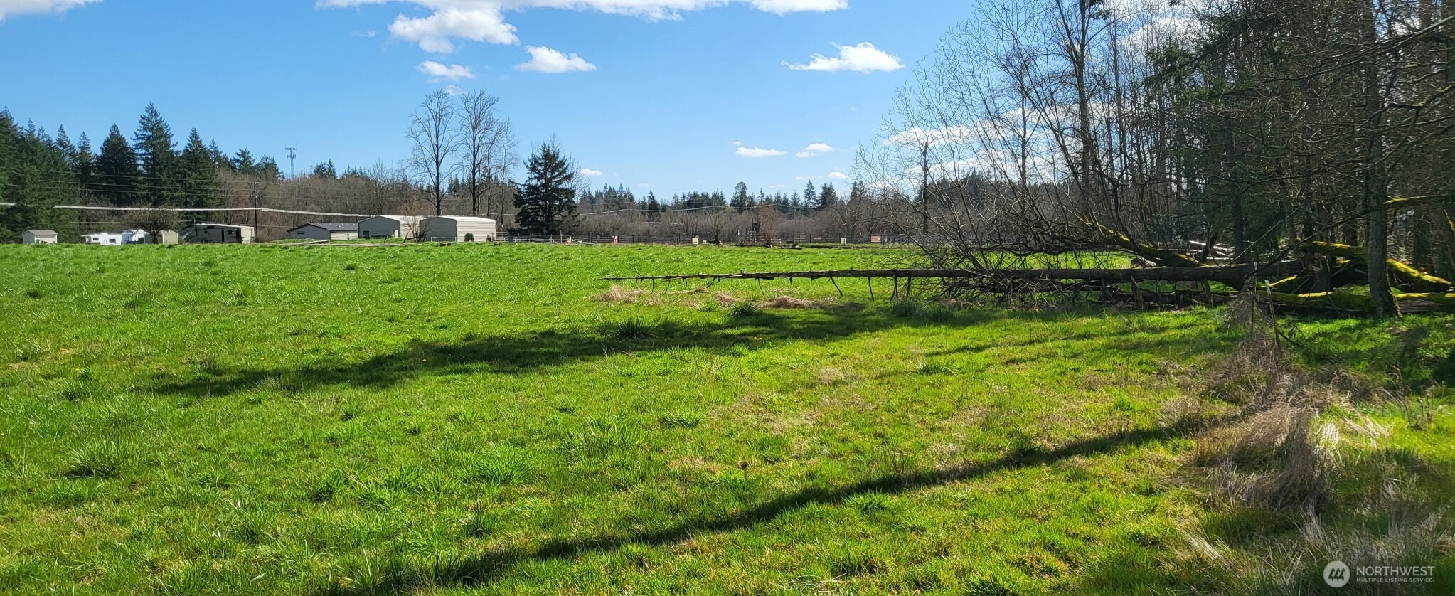 444 Meier Road Winlock, WA 98596 - Photo 8 of 15