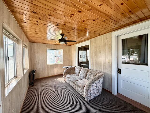 307 Main Street East Caledonia, MN 55921 - Photo 27 of 39 IMG_7263