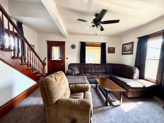 307 Main Street East Caledonia, MN 55921 - Photo 29 of 39 IMG_7265