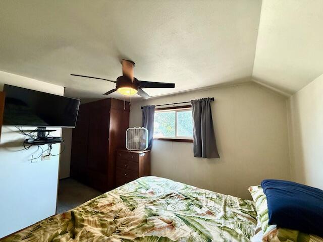 307 Main Street East Caledonia, MN 55921 - Photo 34 of 39 IMG_7270