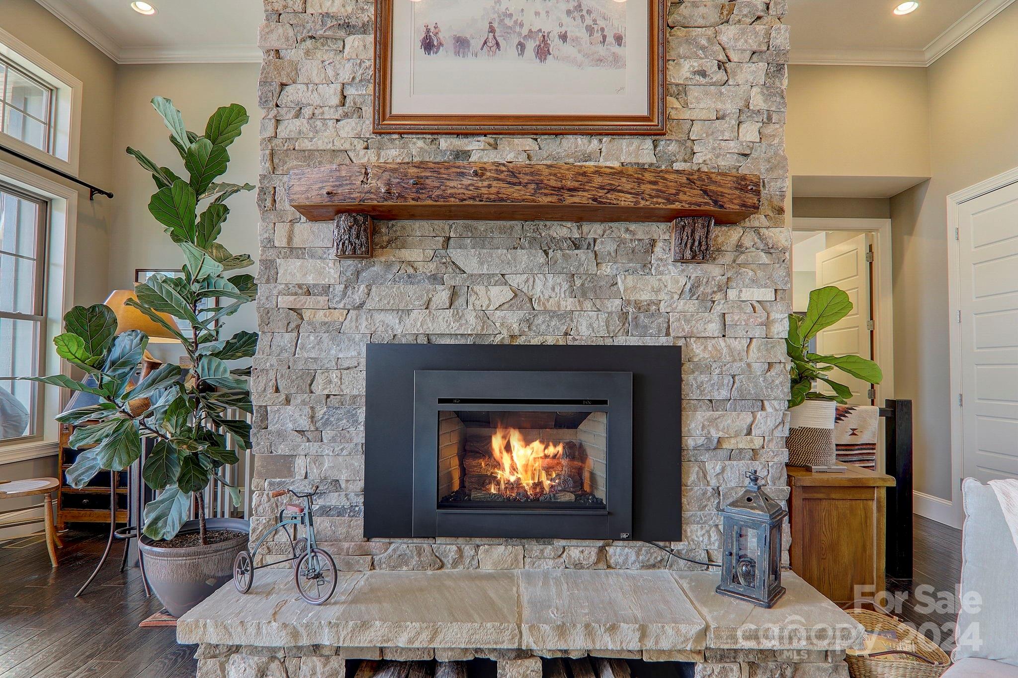 34 Ledgestone Drive Fairview, NC 28730 - Photo 11 of 47 a fireplace with plants in front of it