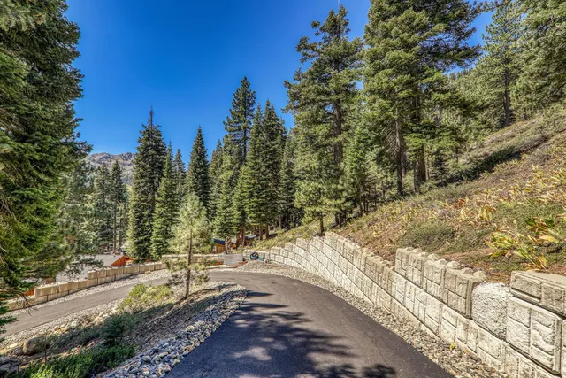 a view of a yard with trees