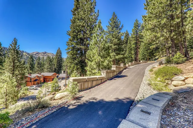 a view of a yard with an outdoor space