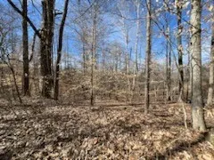 $43,000 | 0 Tobaccoport Road, Bumpus Mills, TN 37028