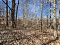 0 Tobaccoport Road Bumpus Mills, TN 37028 - Photo 1 of 8